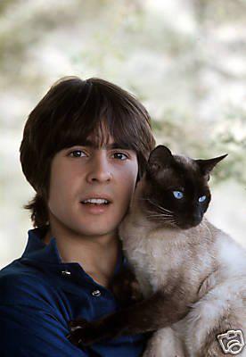 Who's cuter? Davy Jones circa 1969